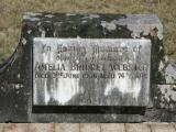 image of grave number 917389